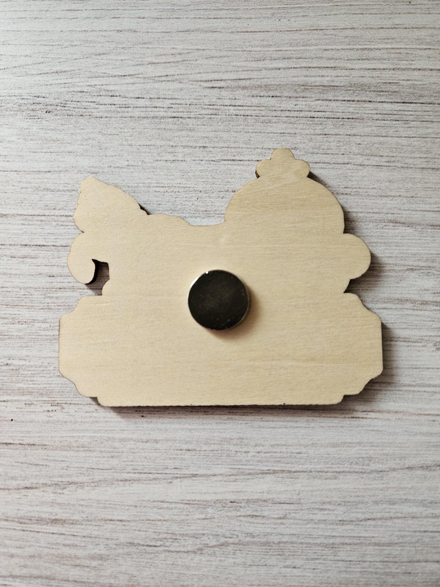 Enchanted Carriage Cleaning Co