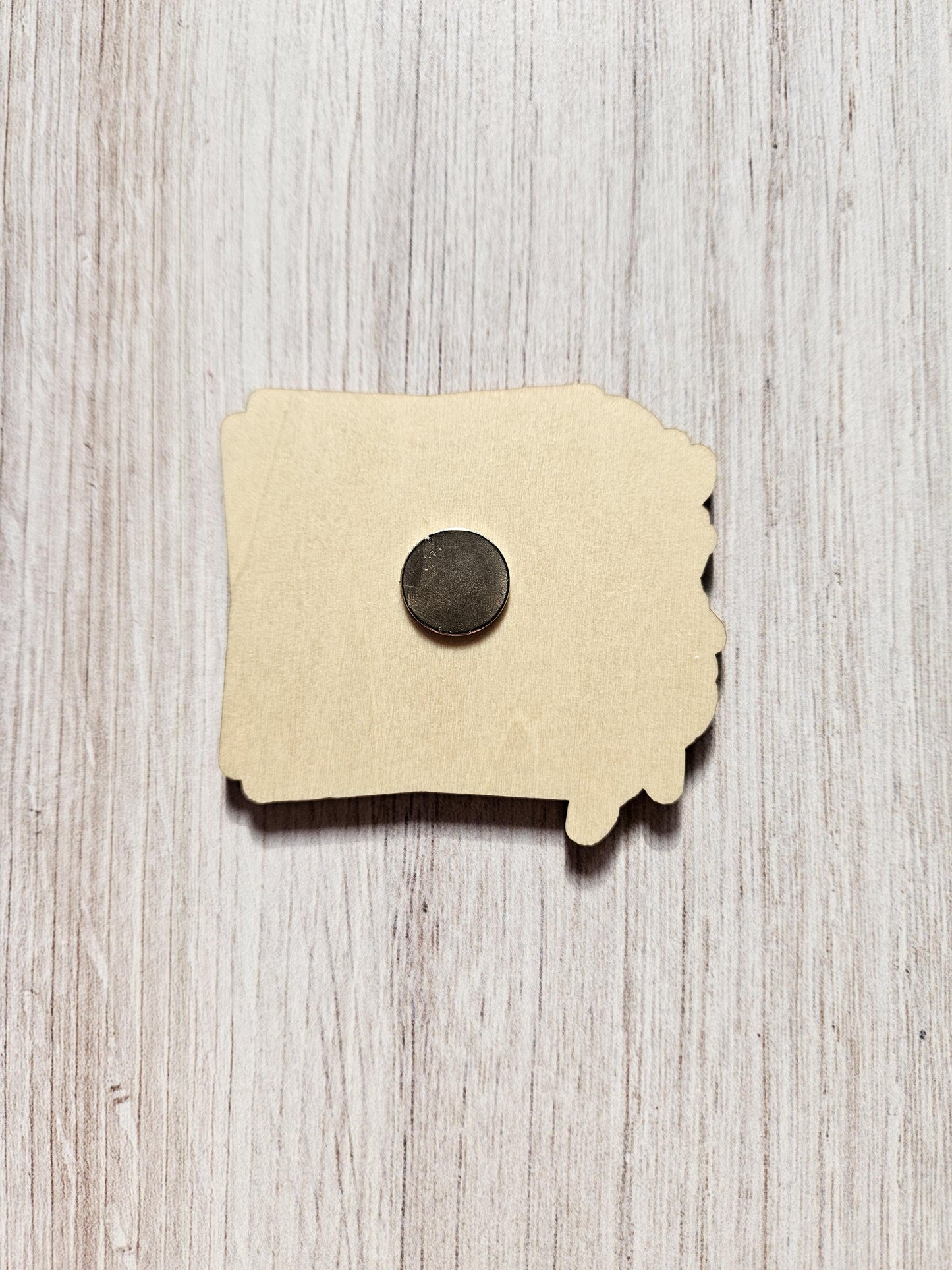 My Body My Rights My Choice