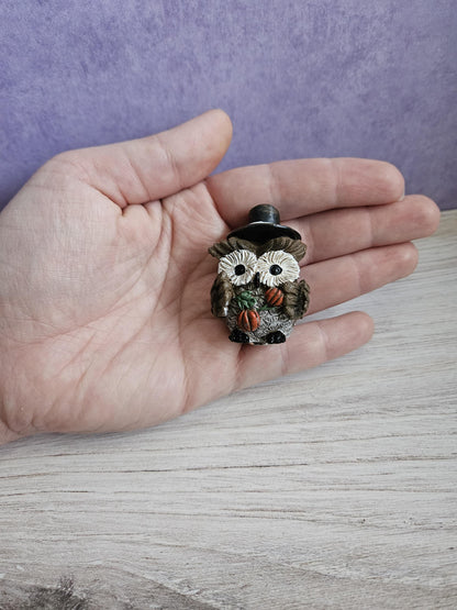 Pilgrim Owl with Pumpkins