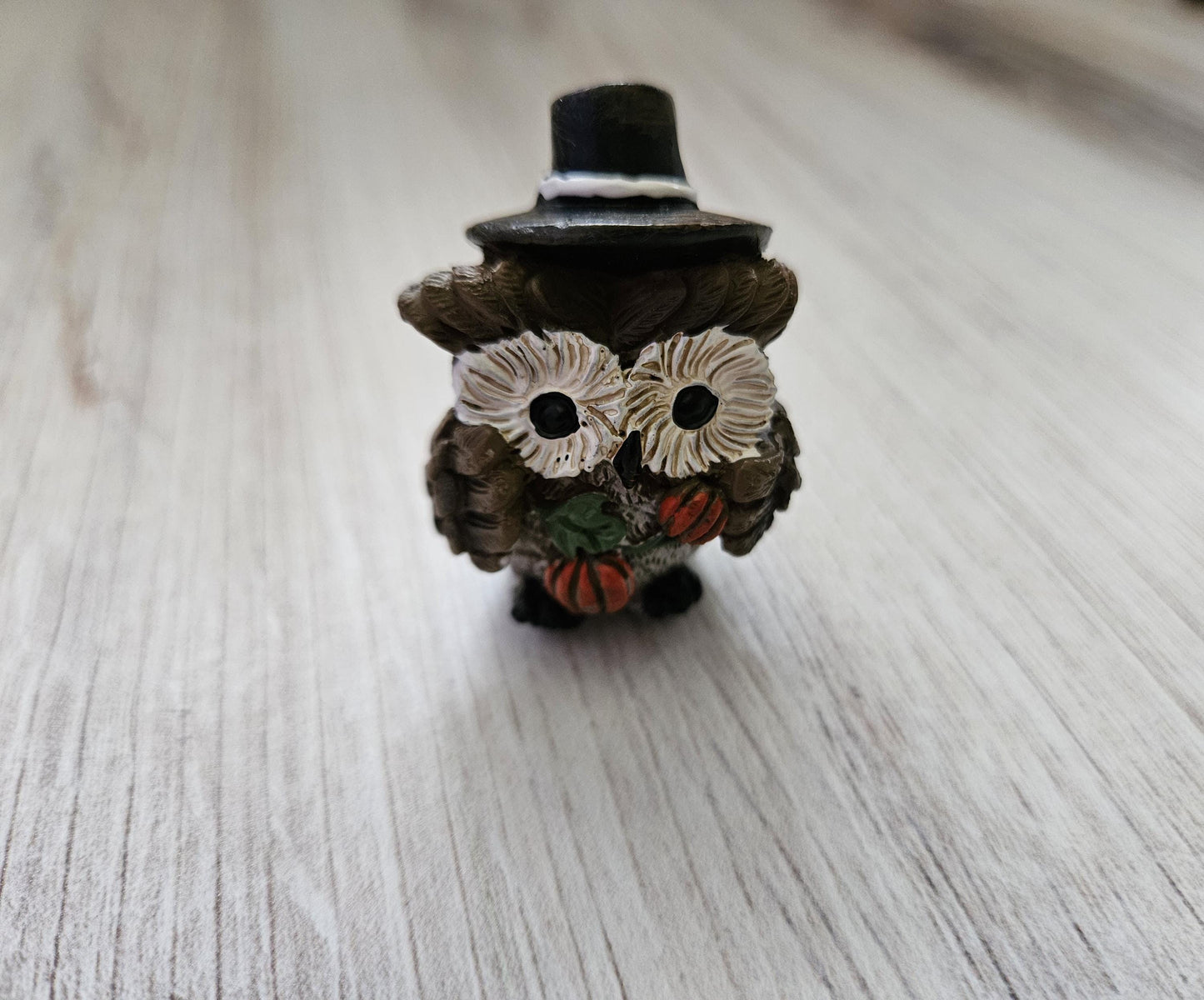 Pilgrim Owl with Pumpkins