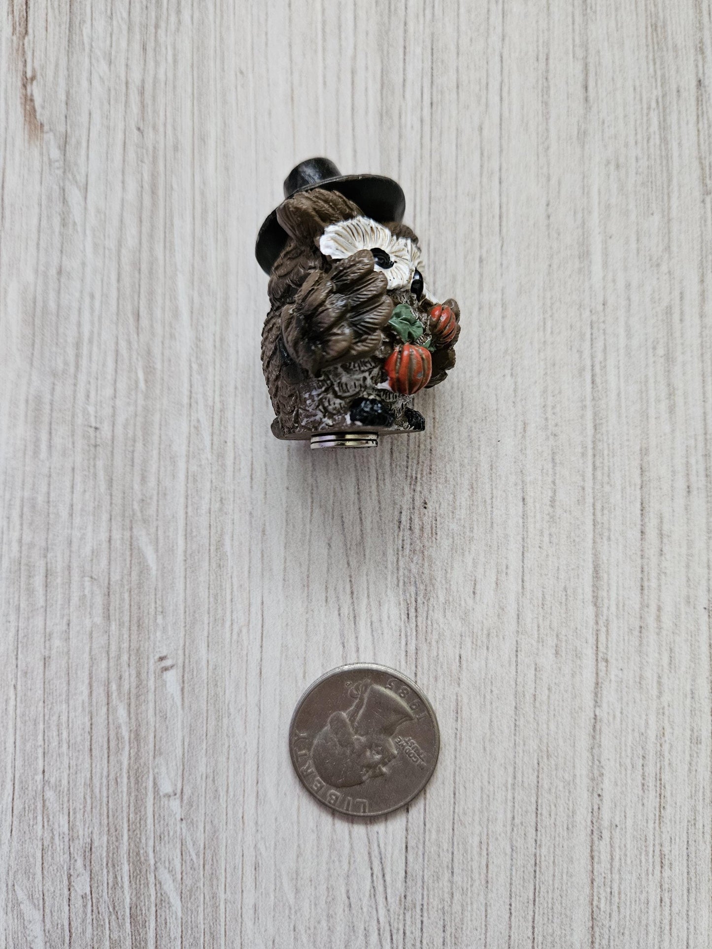 Pilgrim Owl with Pumpkins