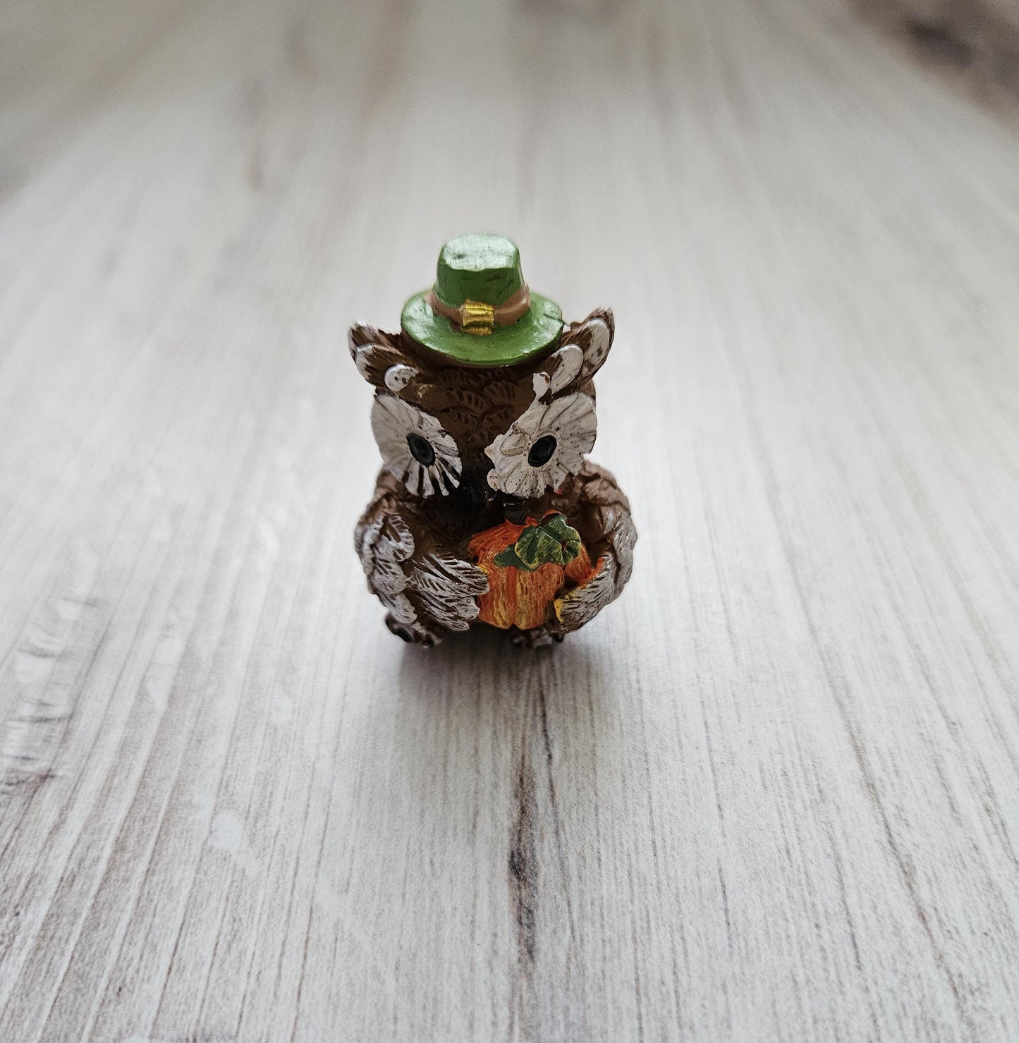 Autumn Owl with Pumpkin Ceramic Cover Minder for Diamond Painting