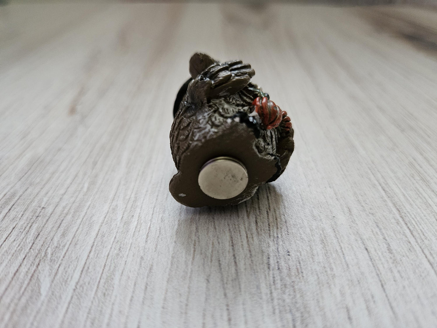 Pilgrim Owl with Pumpkins