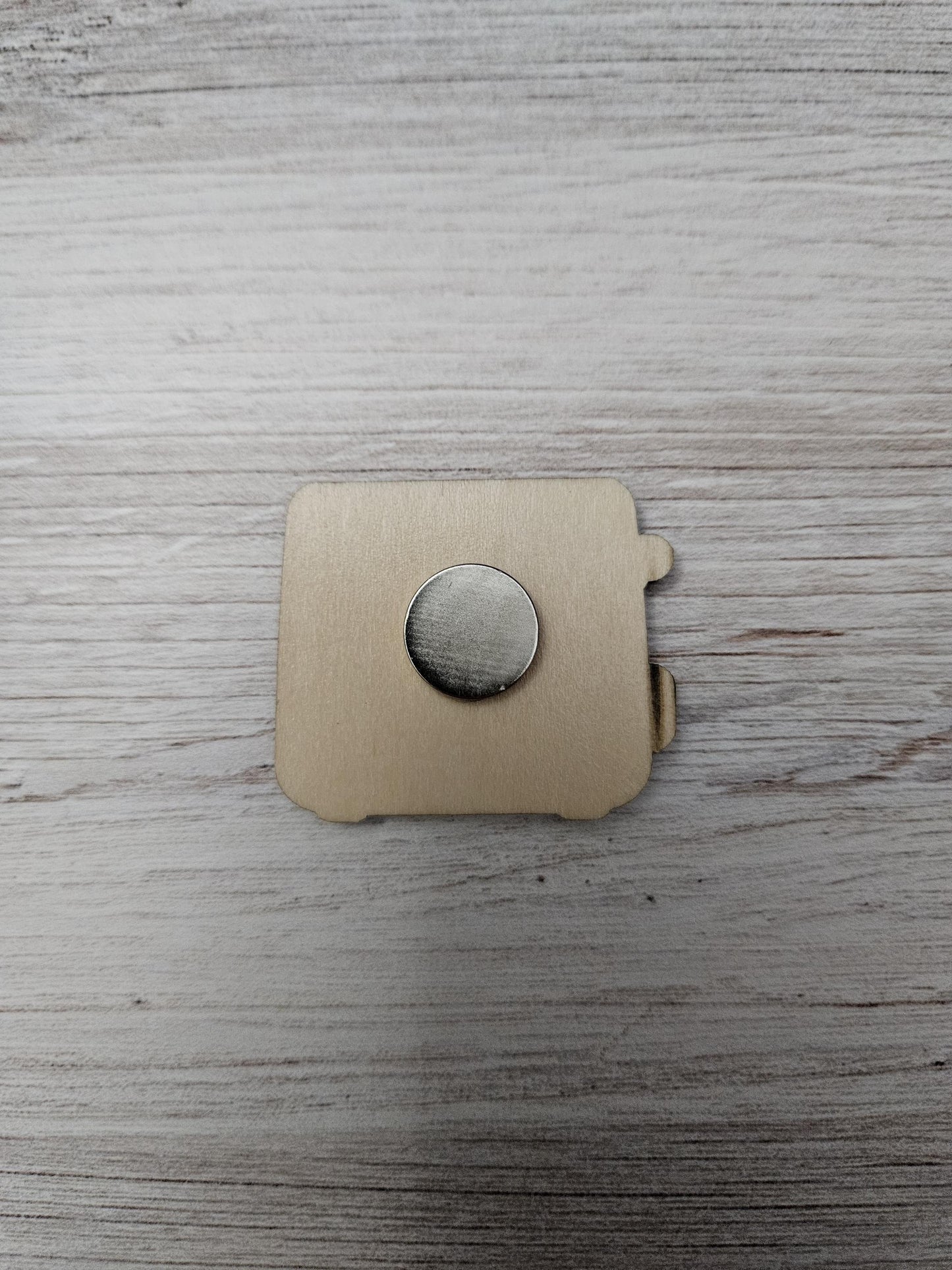 Forbidden Bath Toy Toaster