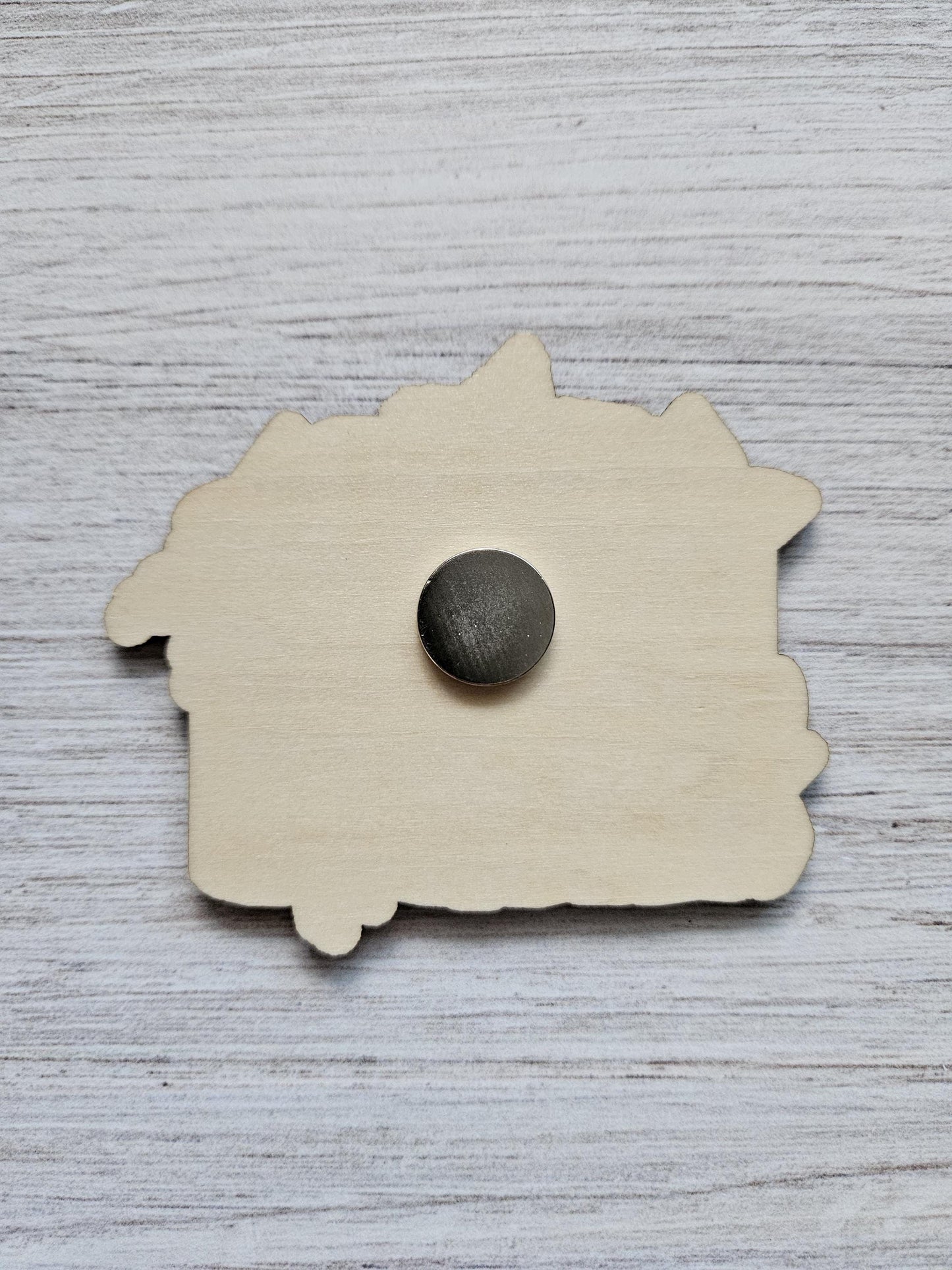 Magical Boy Wizard Series