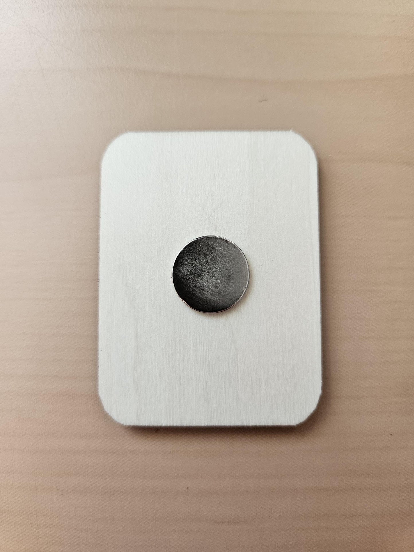 Cozy Capybara Reading Cover / Needle Minder