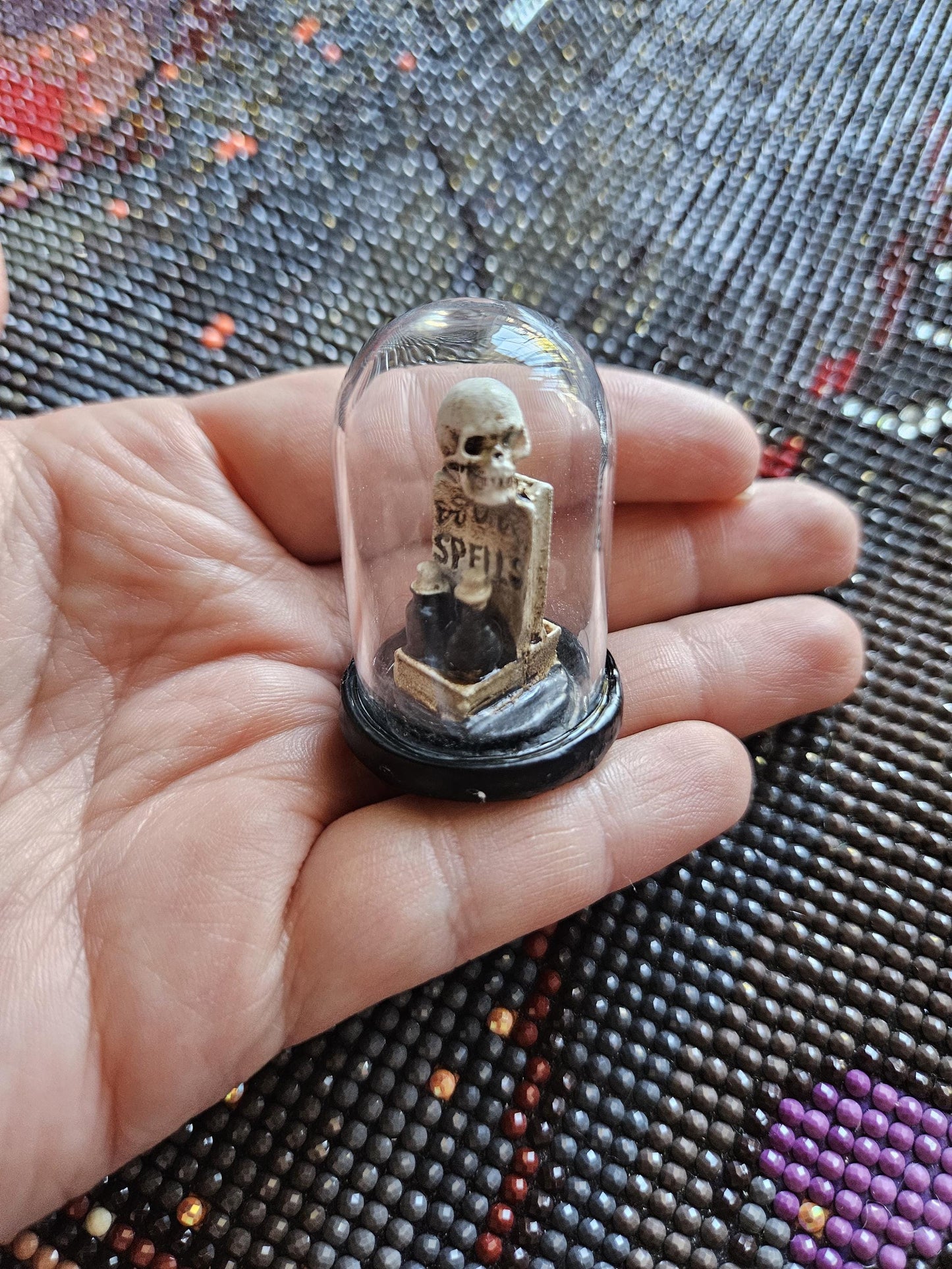 Book and Skull Terrarium