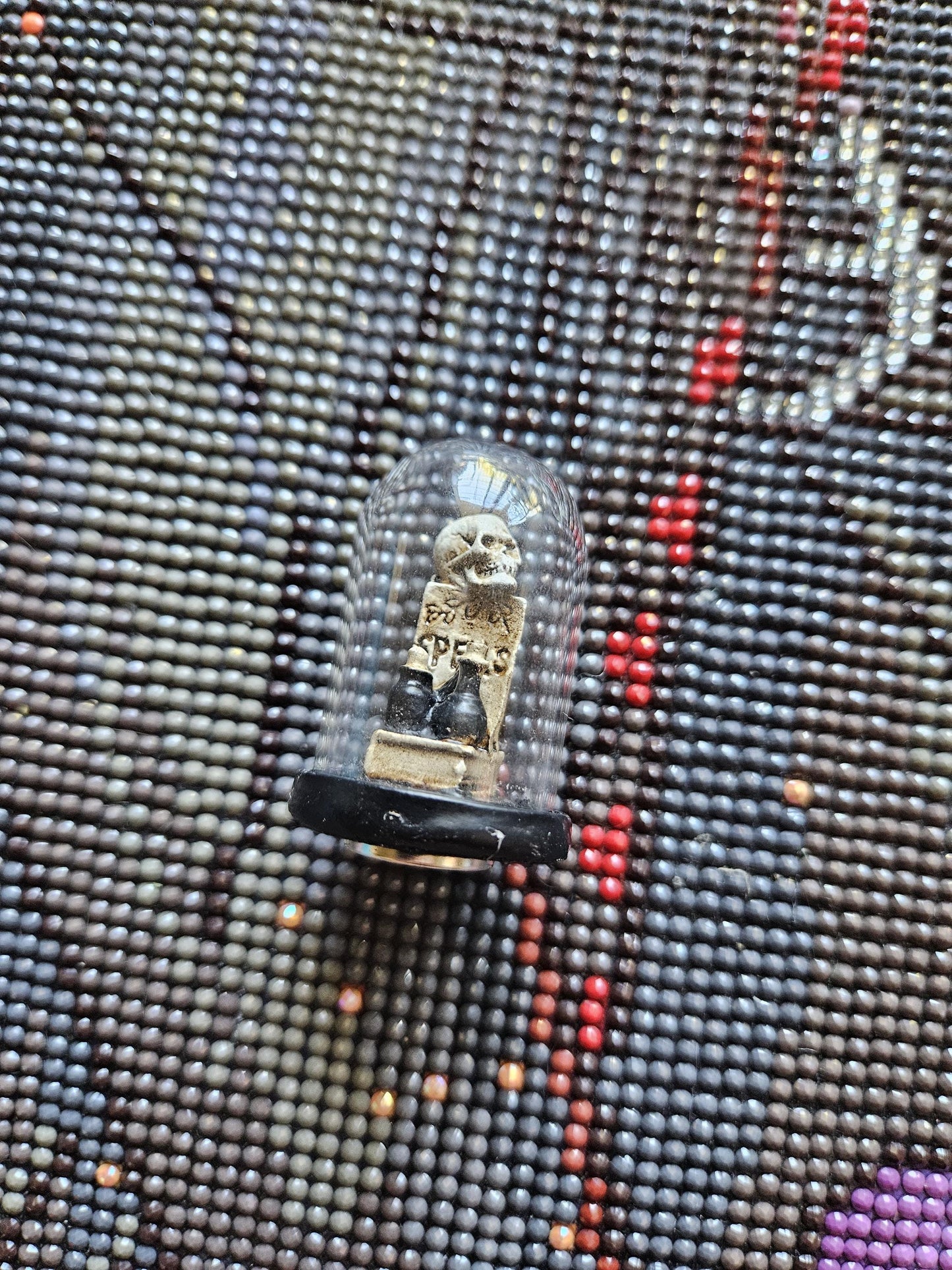 Book and Skull Terrarium